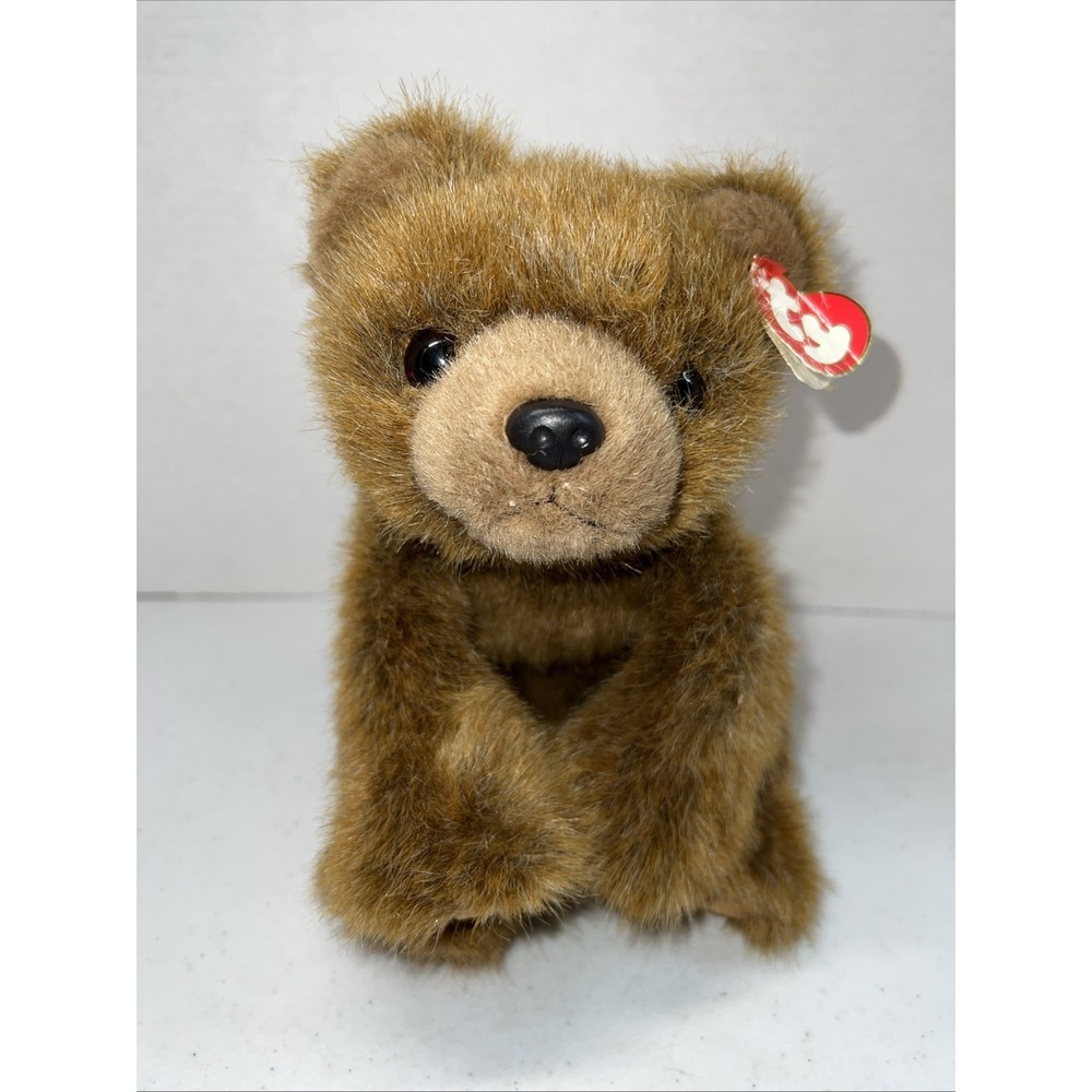 TY‎ Classic Plush FOREST the Bear 10"plush Stuffed Animal Toy 1997 Vintage